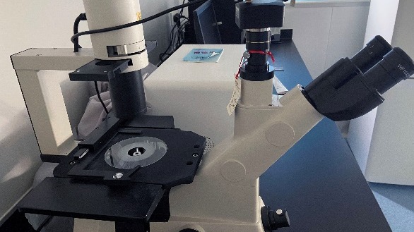 “新工科+生命科学与健康”创新实验班